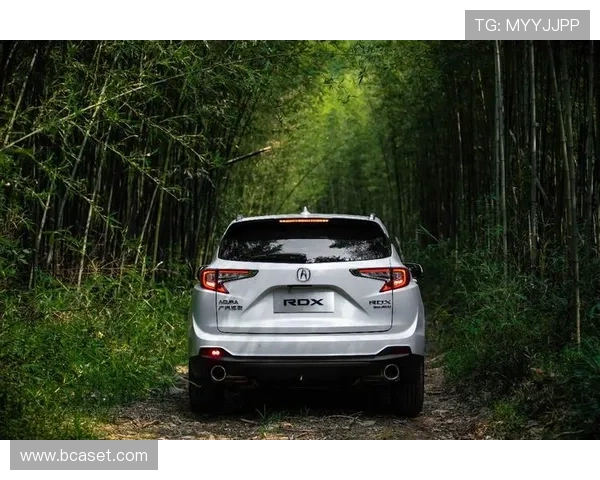 2.0T爆发265马力，跟宝马X3同级，起步仅32.8万，带你看讴歌RDX